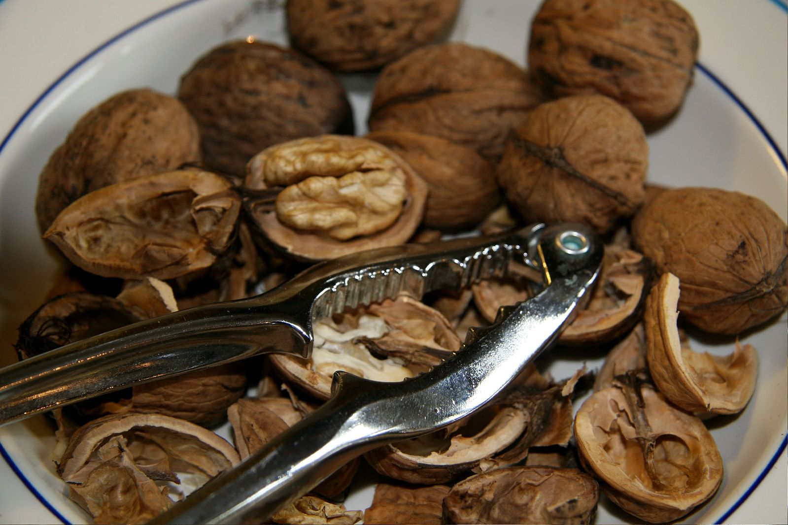 1599px-walnuts_01